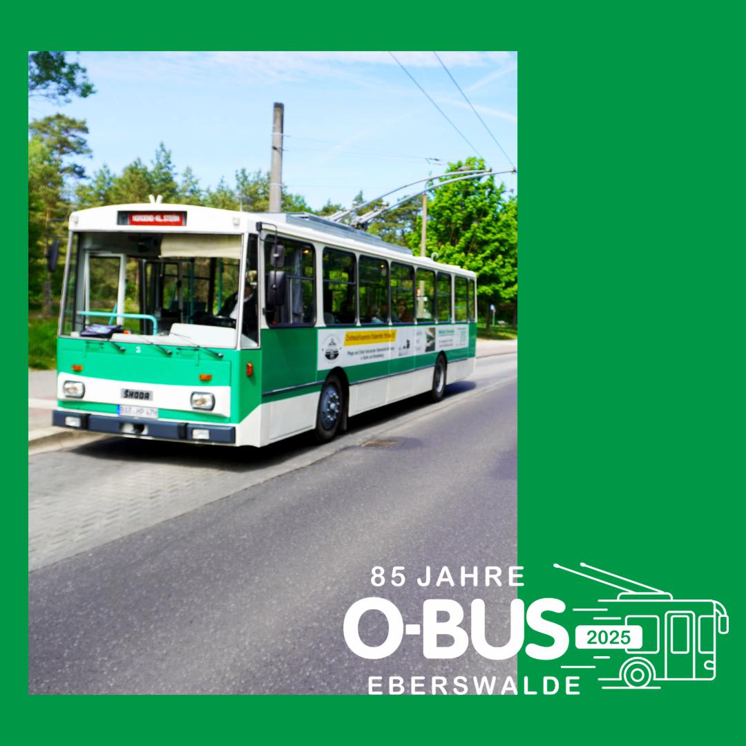 O-Busse 85 Jähriges Jubilaeum in Eberswalde